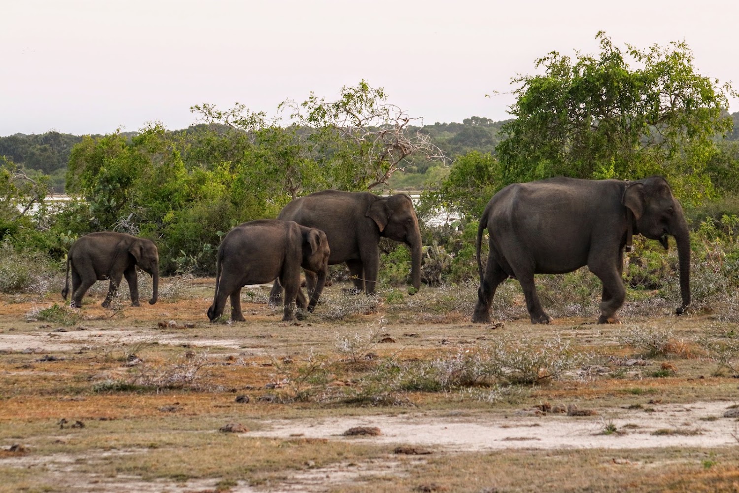 7 Days / 6 Nights Tour Itinerary — day 4 photo 1
