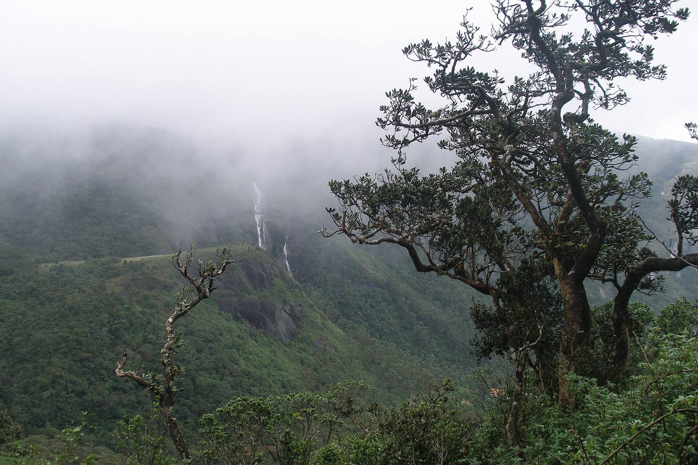 Adam's Peak — photo 2