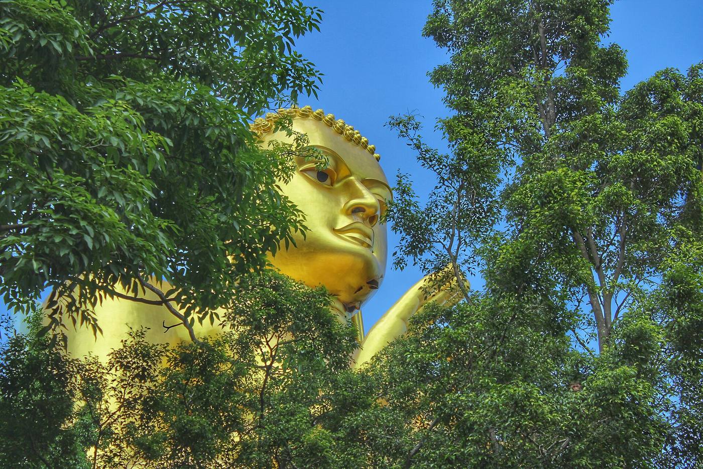 Dambulla — photo 2