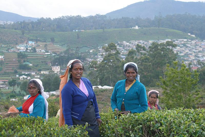 Nuwara Eliya in Sri Lanka