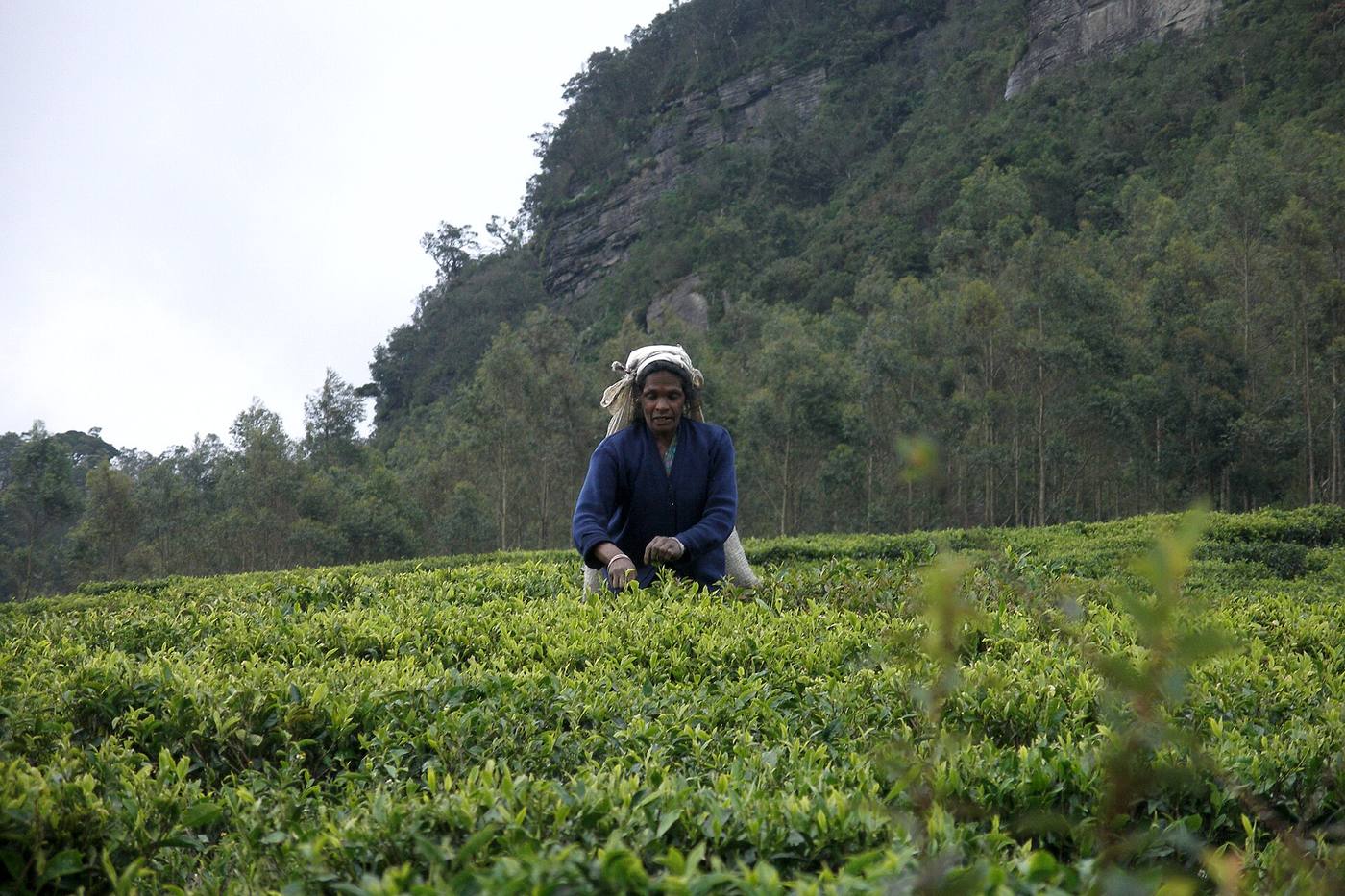 Nuwara Eliya — photo 2